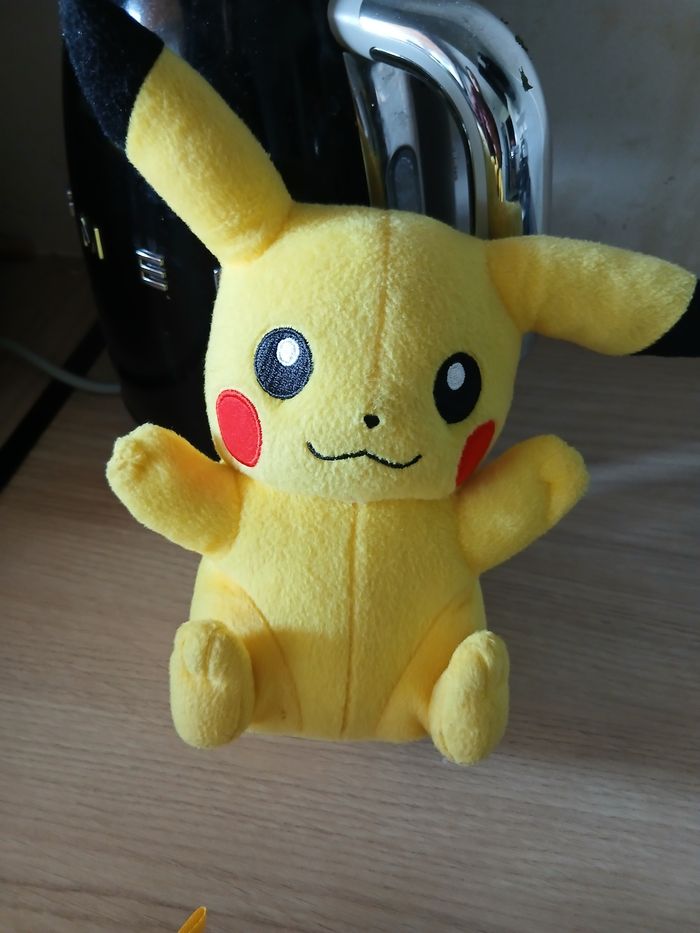 Essemble pikatchoi - photo numéro 2