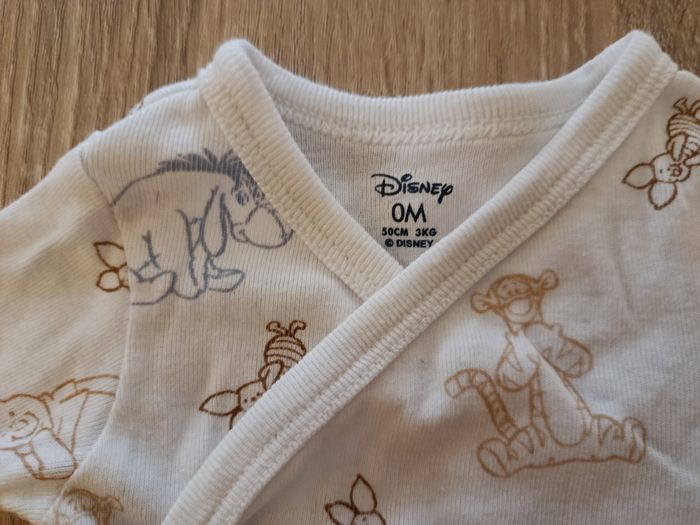 Bodie  Disney - photo numéro 3