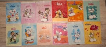 Pochettes papiers diddl