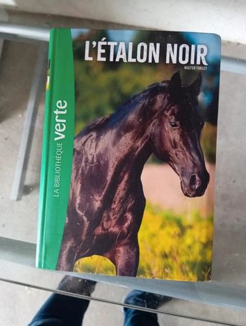 Livre l'étalon noir bibliothèque verte