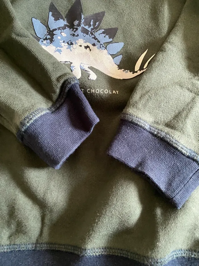 Sweat dinosaure Tartine et Chocolat 4 ans - photo numéro 4