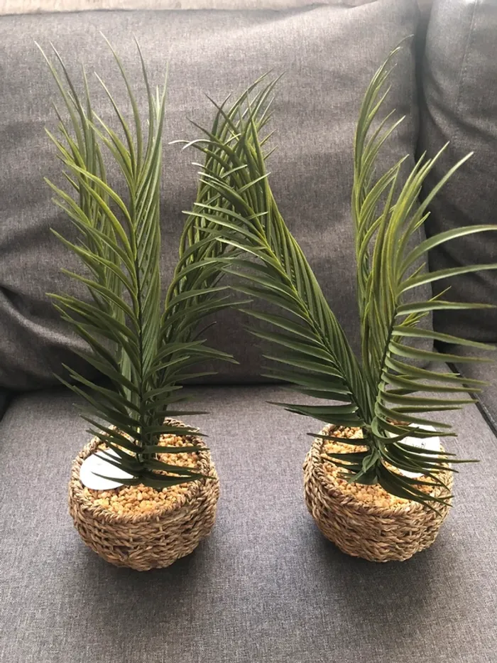 Lot de 2 Plantes vertes artificielles, Maison du monde - photo numéro 6