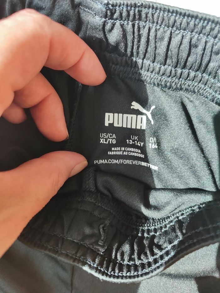 Short puma - photo numéro 3