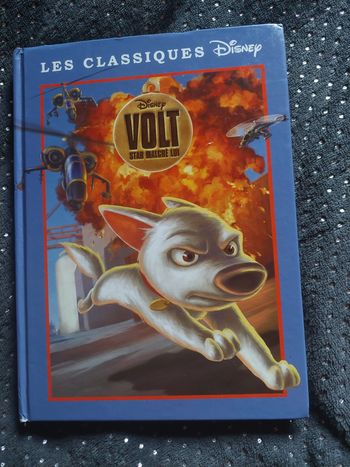 Les classiques de Disney, Volt, star malgré lui