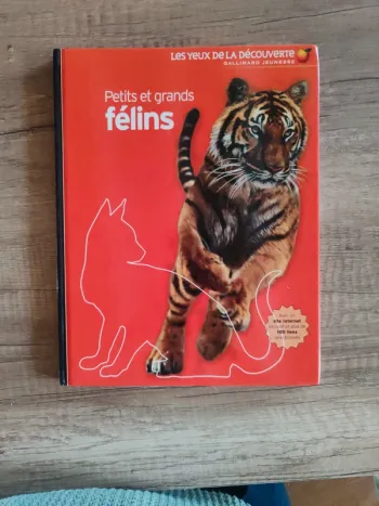 Livre pour enfants "petits et grands félins"