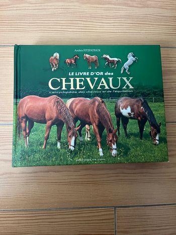 Livre d’or sur les chevaux