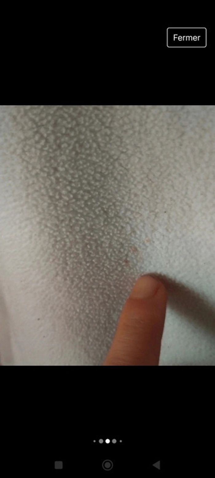 Sweat polaire Quechua taille L - photo numéro 5