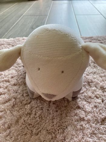 Coussin peluche Obaïbi