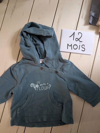 Pull a capuche bébé garçon 12 mois