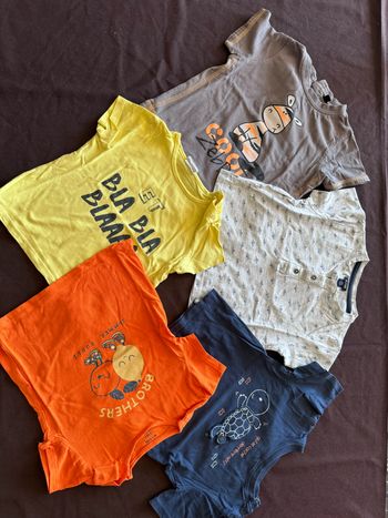 Lot 5 t-shirt été 18 mois Cool Zebra