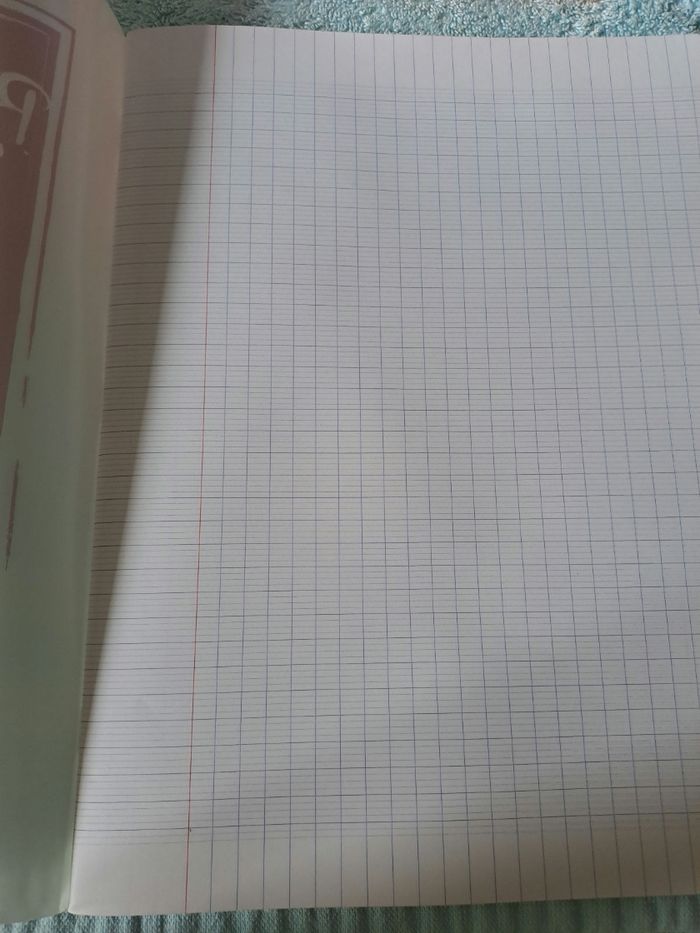 Cahier - photo numéro 2