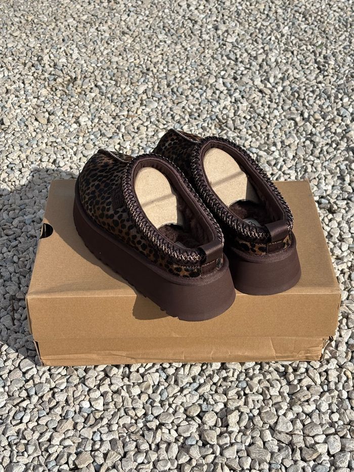 Ugg tazz caspian - photo numéro 4