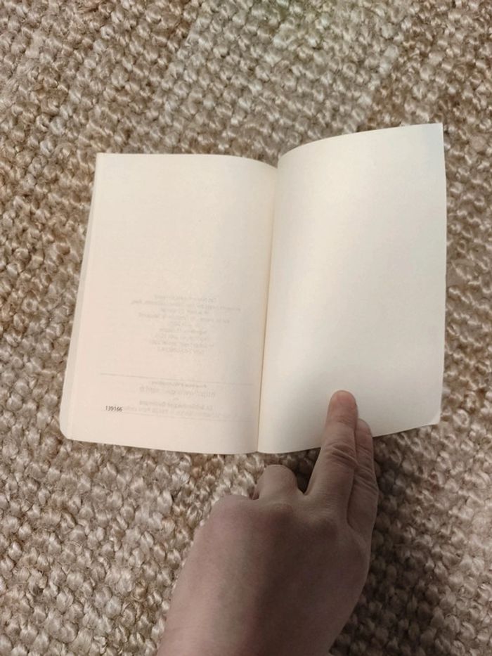 Romances sans paroles Verlaine - photo numéro 5