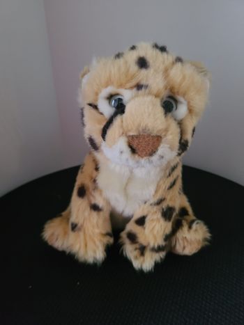 doudou leopard