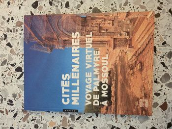 Cités Millénaires - Voyage Virtuel De Palmyre À Mossoul