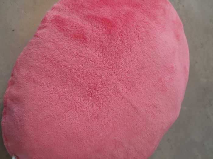 Coussin - photo numéro 2