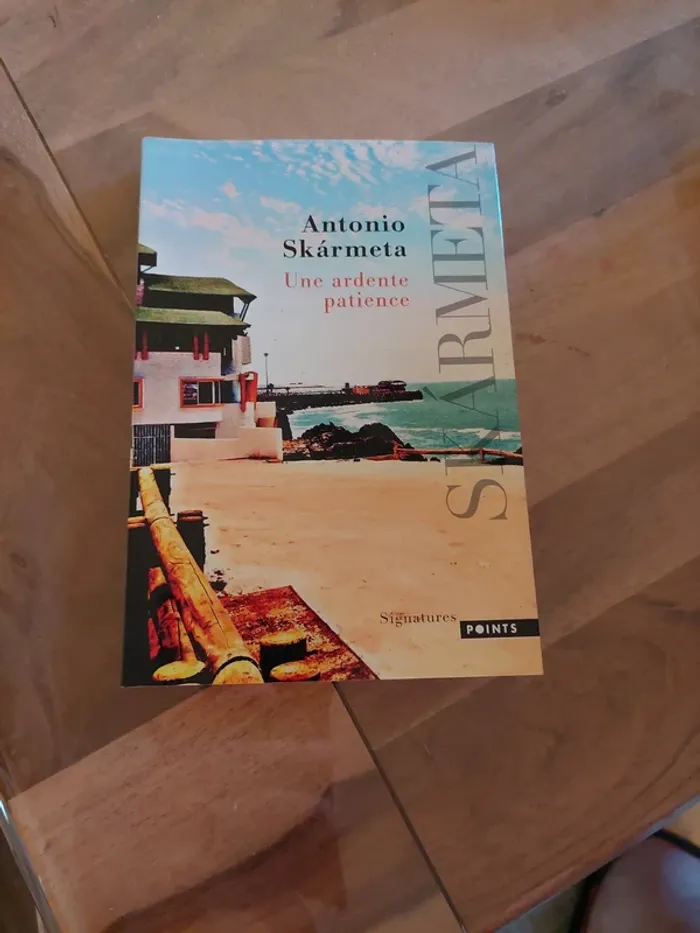 Une ardente patience, de Antonio Skármeta