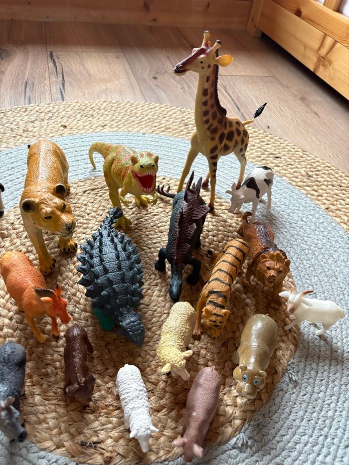 Lot animaux - photo numéro 3