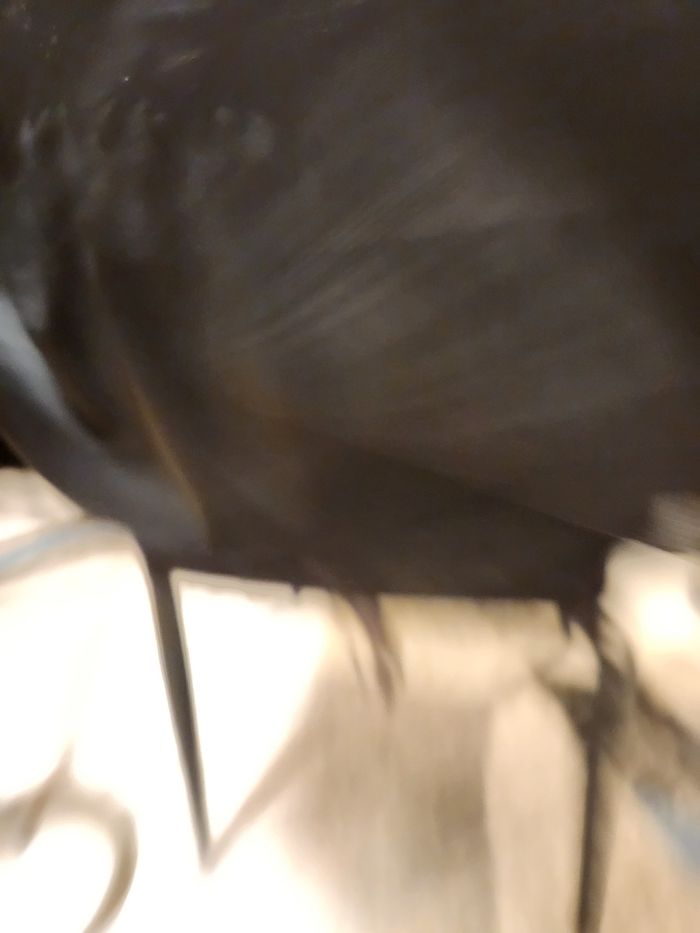 Jupe fille - photo numéro 6