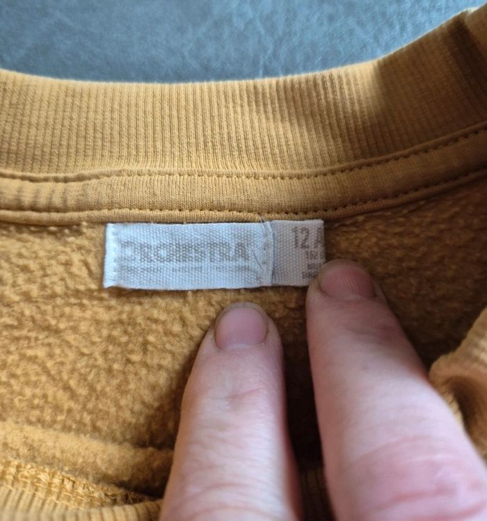 Sweat orange 12 ans loup brodé effet origami A30 - photo numéro 5