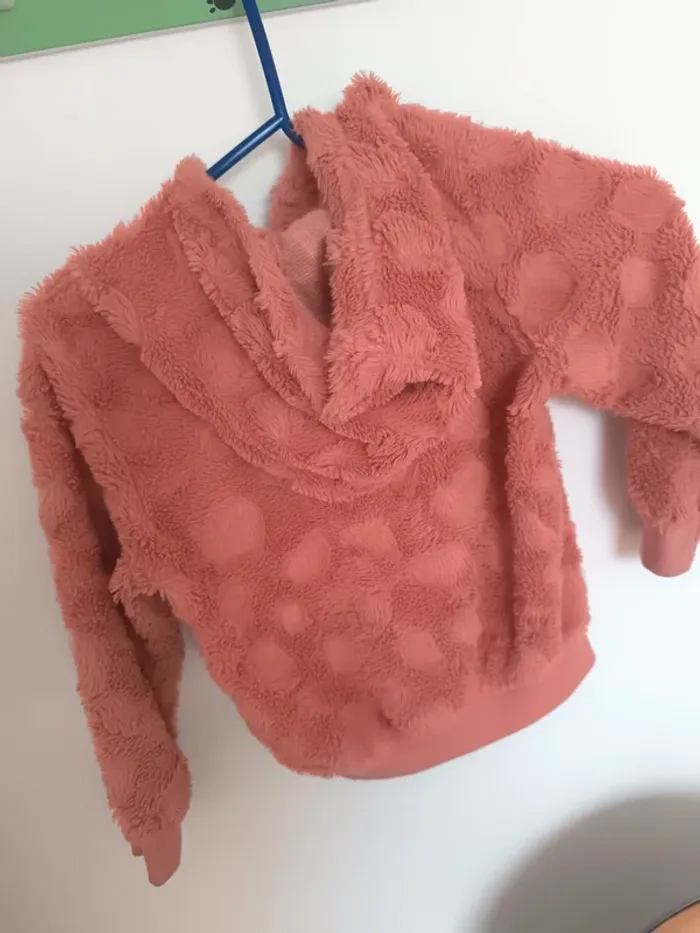 Pull capuche - photo numéro 2
