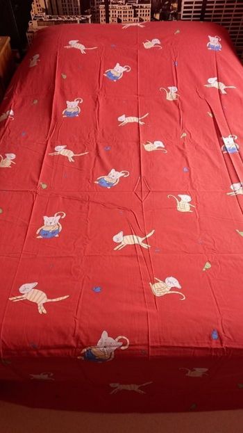 Parure de lit une personne " 3 pièces "