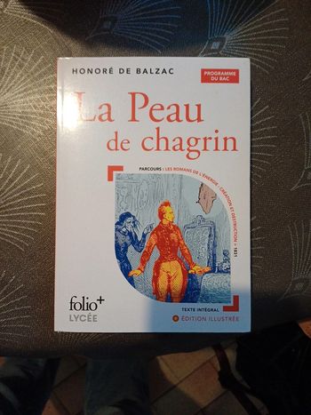 La peau de chagrin