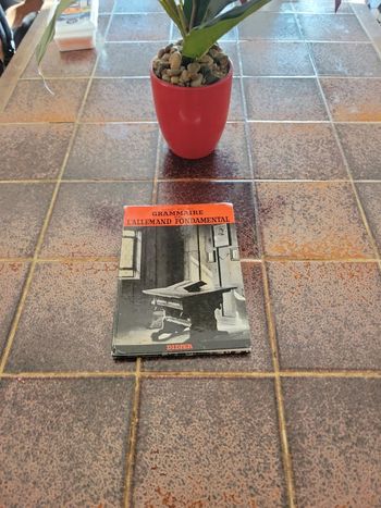 Grammaire de l'allemand fondamental