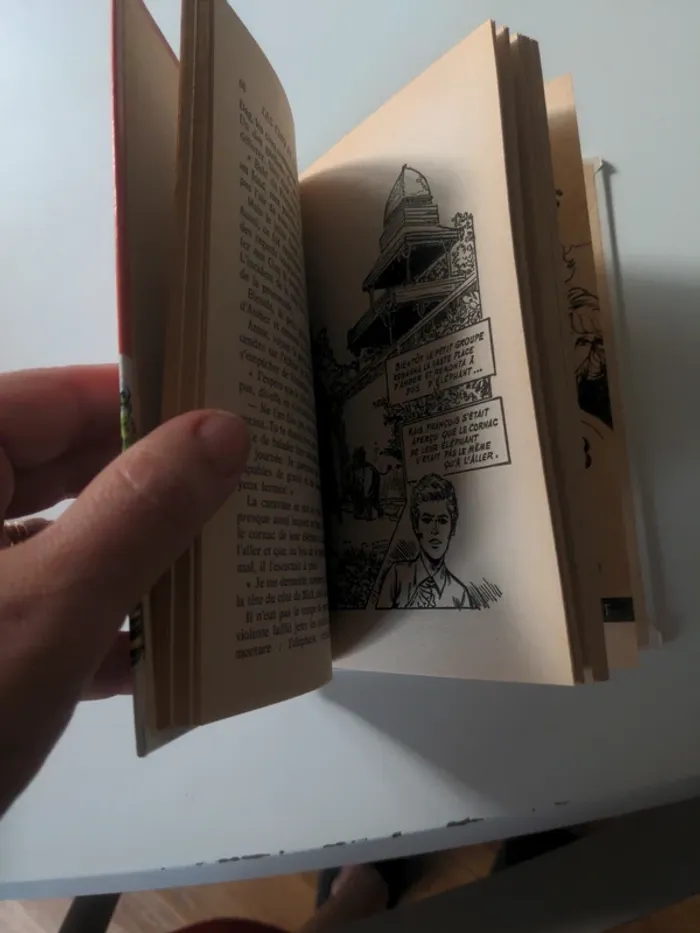 Les cinq et le rubis d'Akbar - photo numéro 3