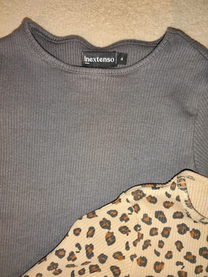 Lot 2 tee-shirts manches longues 4 ans In Extenso - photo numéro 3