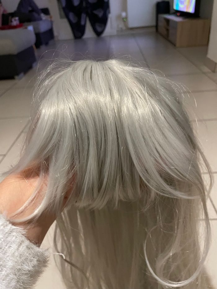 Perruque grise - photo numéro 2