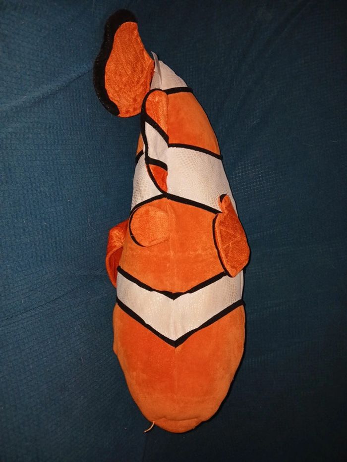 Poisson clown nemo - photo numéro 7