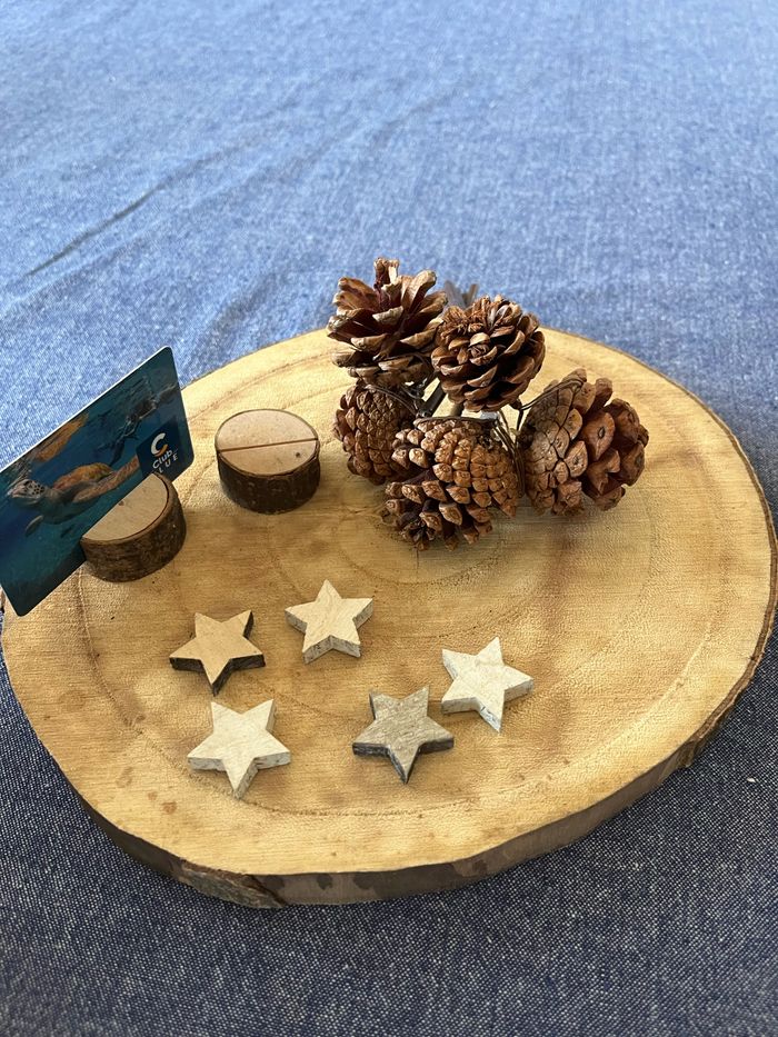 Lot de deco automne hiver bois centre de table