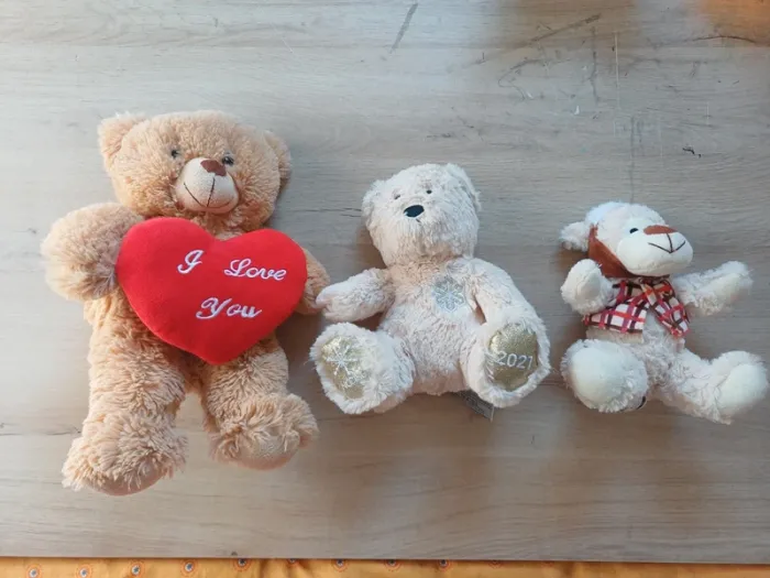 Ours en peluche - photo numéro 2