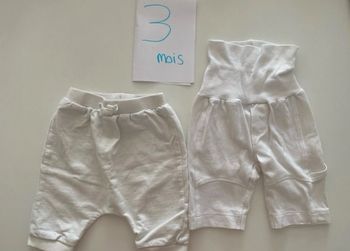 Lot 7 bas