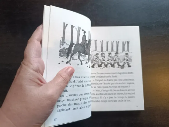 Livre LE COFFRE MAGIQUE: LILI ET LA ROBE EN DENTELLE - Jenny Oldfield - photo numéro 4