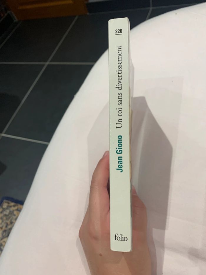 Jean Giono Un roi sans divertissement - photo numéro 3