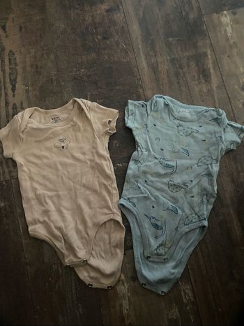 Body