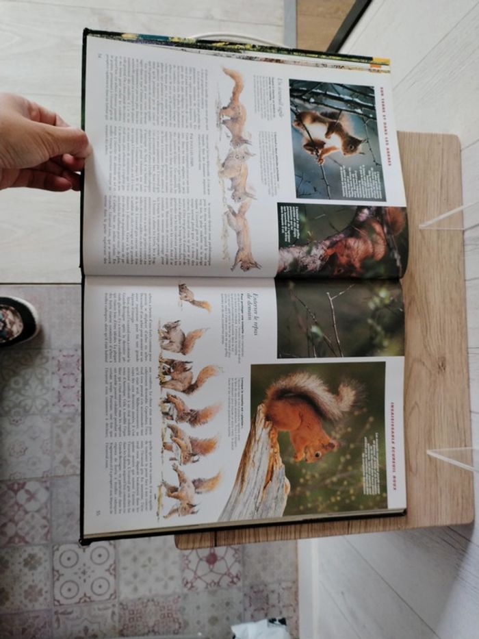 Livre sur la nature - photo numéro 4