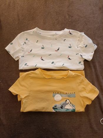 Lot de 2 tee shirt