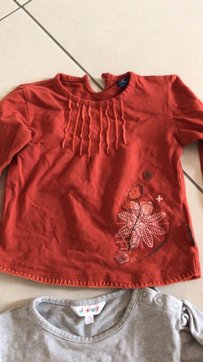 Lot 2 t-shirt manches longues 4 ans - photo numéro 3