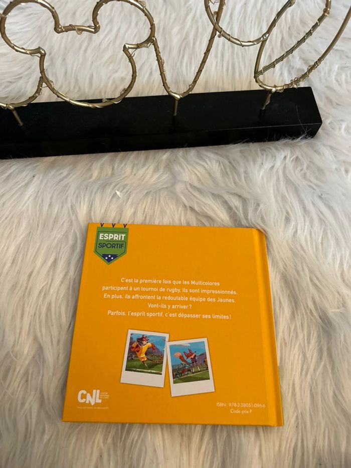 Livre pour les enfants 🥰 le marché de rugby hachette - photo numéro 2