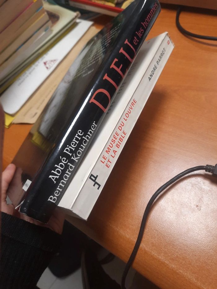 Lot 2 livres religion archéologie biblique - photo numéro 6