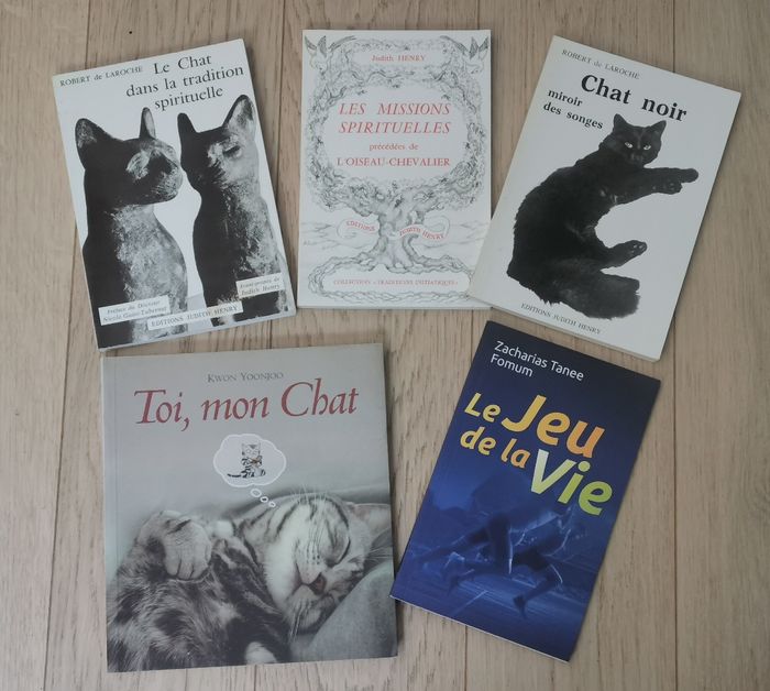 Le chat dans la tradition spirituelle