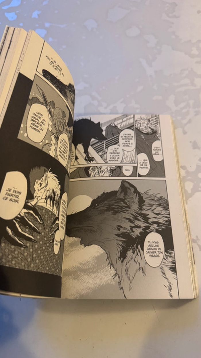 📚 Manga - Ookami Rise Tome 01 - Édition Panini Manga - photo numéro 5