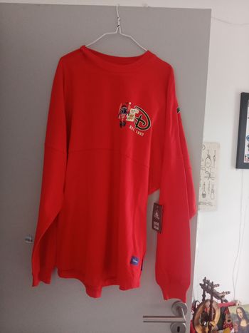 Sweat jersey stitch Disneyland Paris neuf 