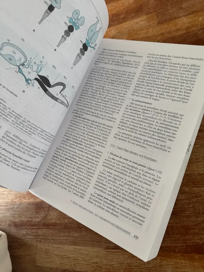 Livre, biologie et physique, animale, cours et question de révision - photo numéro 5