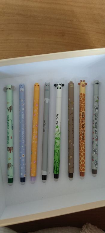 Stylos gel encre effaçable 