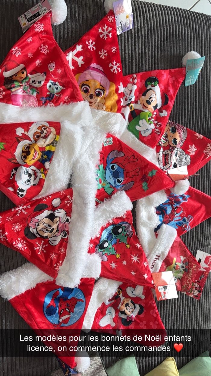 Bonnet Noël licence