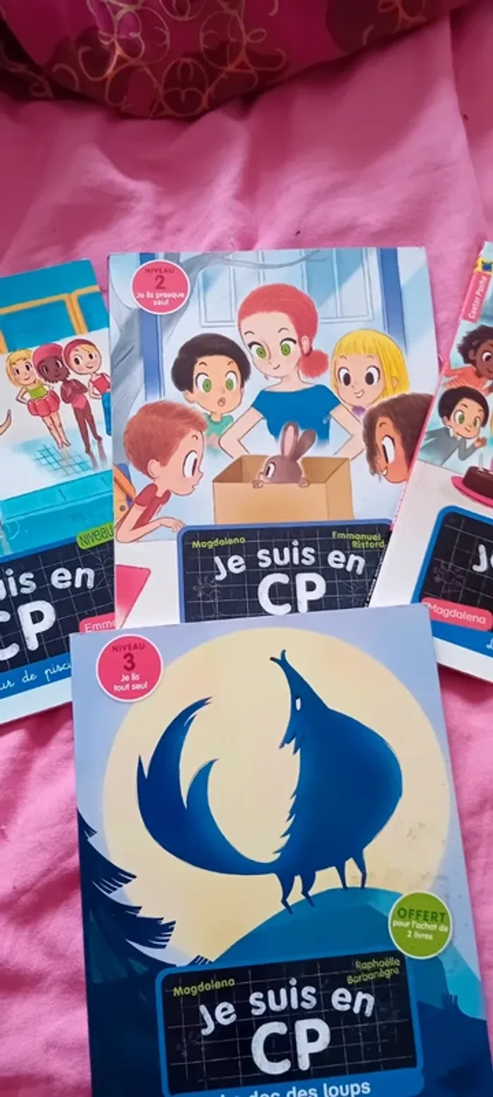 Livres enfants je suis en CP niveau 2 et 3 - photo numéro 3